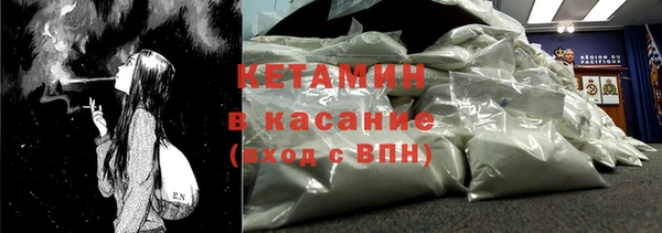 прущие грибы Аркадак