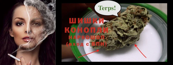 прущие грибы Аркадак