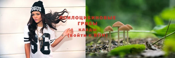 стафф Армянск