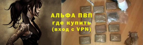 прущие грибы Аркадак