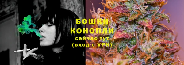 прущие грибы Аркадак
