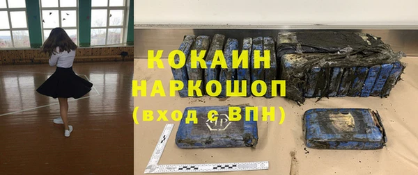 прущие грибы Аркадак