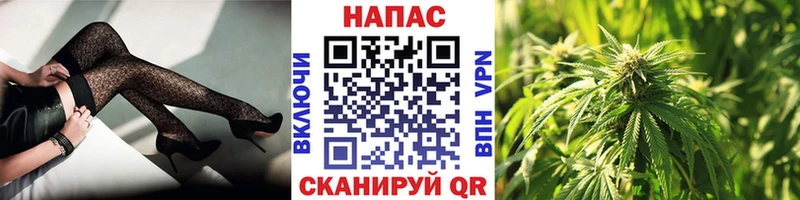 Каннабис планчик  купить наркоту  blacksprut рабочий сайт  Можайск 